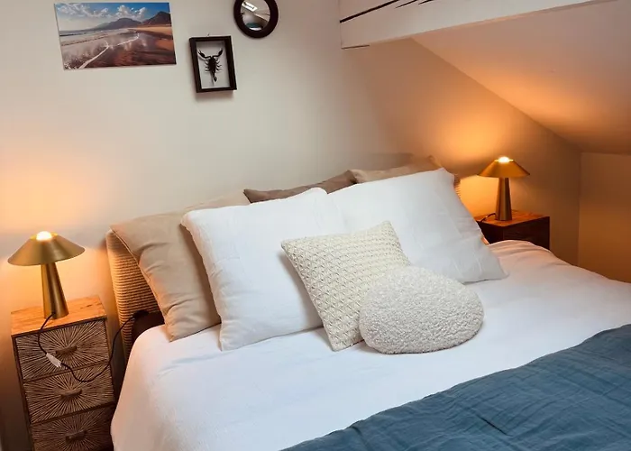 Loft Pamela 2 70m2 Aix-les-Bains